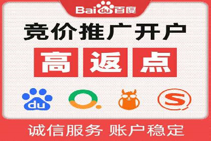 百度优化推广案例剖析：某电商平台的成功之路