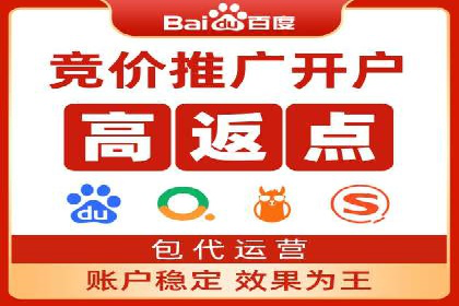 落地页在SEM优化中的重要性及成功案例